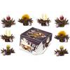 Teeblumen von Creano