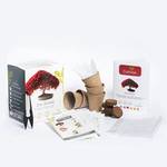 Cultivea Bonsai-Starter-Set