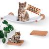 2 von Curious Paw