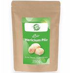 Curly superfood Bio Hericium Pulver