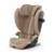 Cybex Gold Solution G2 Plus