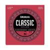 EJ27N von D'Addario