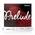 J810 4/4L von D'Addario