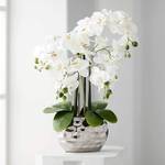 Dahlia Studios Kunstpflanze Orchidee