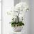 Dahlia Studios Kunstpflanze Orchidee