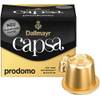 capsa Prodomo von Dallmayr