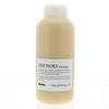 Nounou Shampoo von Davines