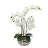 Orchidee XL von Decoline