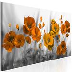 Decomonkey Akustikbild Blumen Mohnblumen rot 120x40 cm