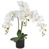 künstliche Orchidee von Decovego