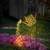 Deepdream BL-AIL-99