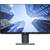 DELL P2419H