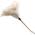 SW10027 von derstraussenprofi
