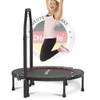 Fitnesstrampolin von DH FitLife