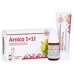 Dhu Arnica-Globuli D6 mit Salbe