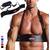 DMoose Fitness Bizeps Isolator Dickes Aluminium
