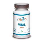 Dog Fit by Prethis Vital Gastro