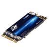 SSD M.2 2242 von Dogfish