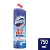 WC-Gel von Domestos