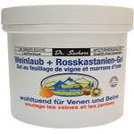 Dr. Sachers Venensalbe