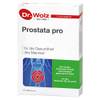 Prostata pro von Dr. Wolz