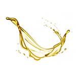 Dragonspice Naturwaren Macadamianussöl