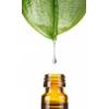 Squalan von Dragonspice Naturwaren