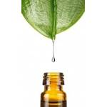 Dragonspice Naturwaren Squalan