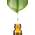 Squalan von Dragonspice Naturwaren
