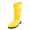 Protomastor von Dunlop