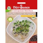 Dürr Samen Keimsprossen