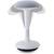 Dynaseat Ds001