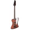 EBTBVSBH1 von Epiphone