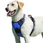 Eagloo Y-Geschirr für Hunde
