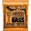 P02833 von Ernie Ball