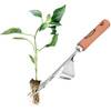 4260545436627 von ECENCE
