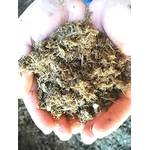 Eckards Wurmstube Natursprünglicher Pferdedung