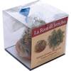 Rose von Jericho von Ecoclass