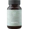 Mama Multi von edubily nutrition