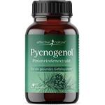 Effective Nature Pycnogenol Pinienrindenextrakt