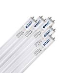 eLITe LED Röhre T8