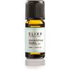 Eukalyptusöl 10 ml von ELIXR