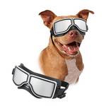 Enjoying Hunde Sonnenbrille