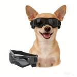 Enjoying Hundebrille