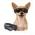 Enjoying Hundebrille