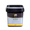 MuscleActive von Equanis 