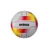 Allround Volleyball von Erima