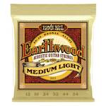 Ernie Ball Earthwood