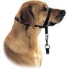 Hundehalfter von Hunter
