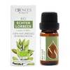 BIO Echter Lorbeer von Essences Bulgaria